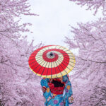 asian woman 1 NtvOdia