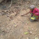 IMG 20260315 WA0000 IMG 20260315 WA0000 NtvOdia