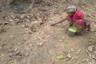 IMG 20260315 WA0000 IMG 20260315 WA0000 NtvOdia