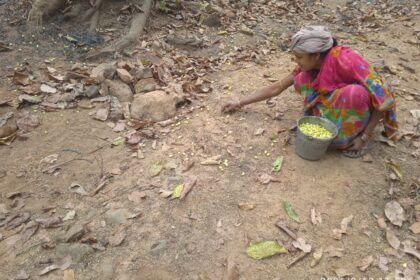 IMG 20260315 WA0000 NtvOdia