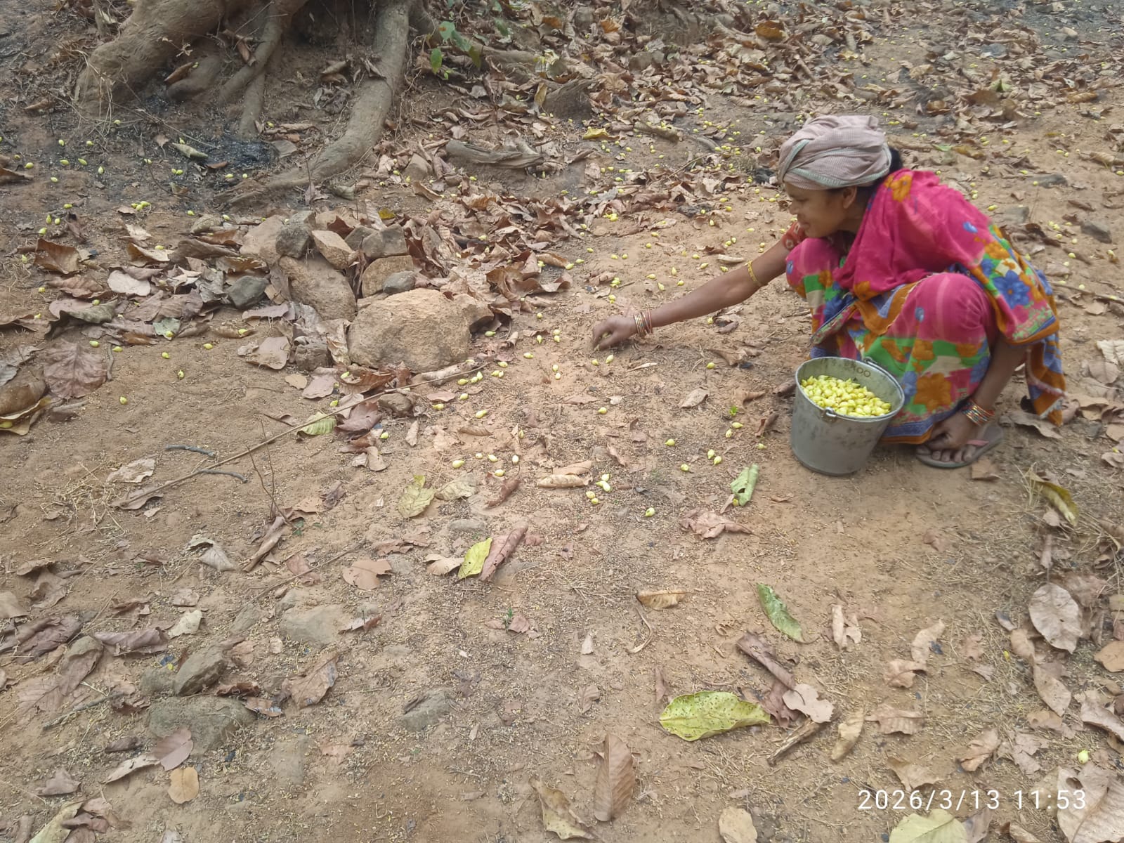 IMG 20260315 WA0000 NtvOdia